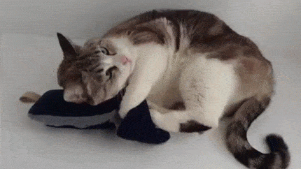 Daily GIFs Mix, part 613
