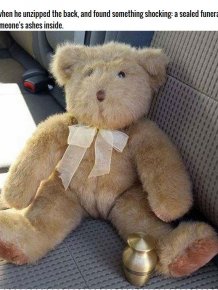 Teen Finds Shocking Surprise In A Thrift Store Teddy Bear