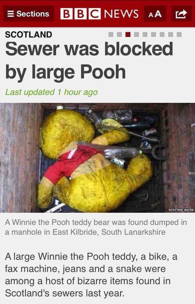 Only In Scotland