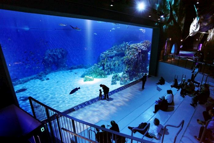 Kastrup Has The Most Amazing Aquarium