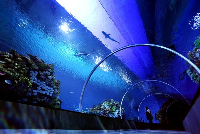 Kastrup Has The Most Amazing Aquarium