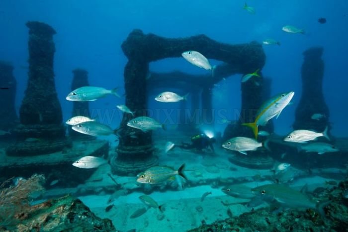 Amazing Artificial Reefs. Part 2 , part 2
