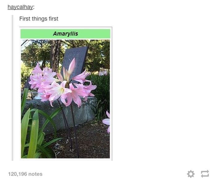 The Greatest Things Posted On Tumblr In 2014, part 2014
