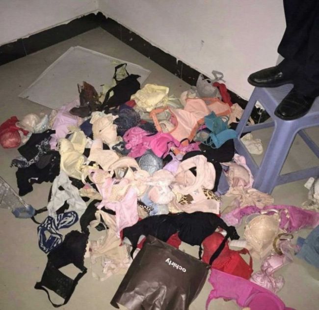 Lingerie Thief Gets Busted