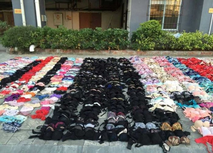 Lingerie Thief Gets Busted