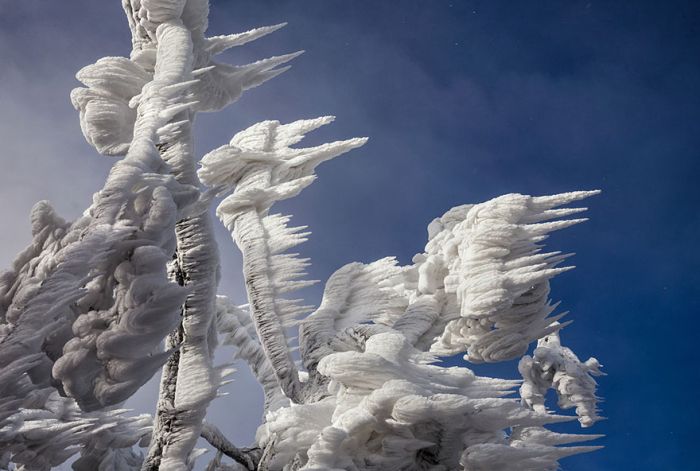 10 Days Of Extreme Weather Turn A Mountain Into Sheer Ice