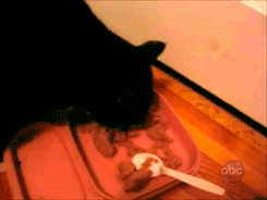 Daily GIFs Mix, part 618