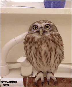 Daily GIFs Mix, part 619