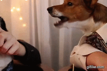 Daily GIFs Mix, part 619