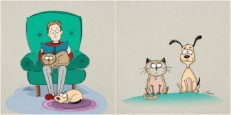 The Differences Between Living With Cats And Dogs
