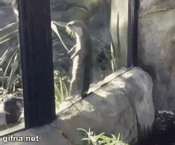 Daily GIFs Mix, part 623