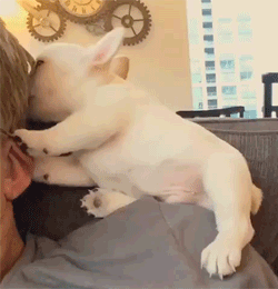 Daily GIFs Mix, part 623