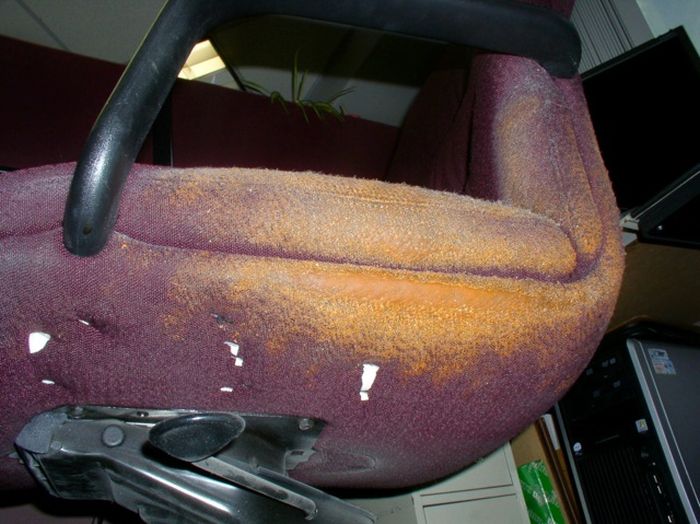 This Chair Was Covered In Cheetos For Many Years