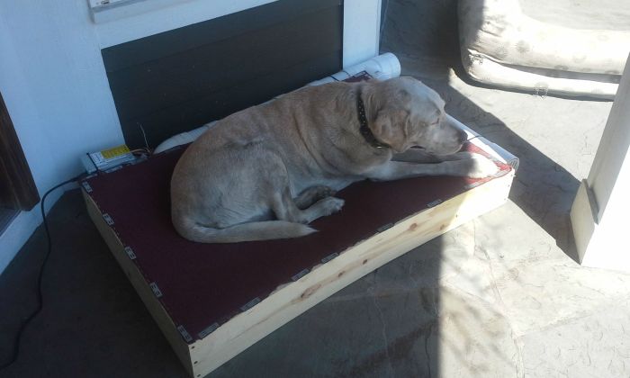 How To Make An Air Conditioned Dog Bed