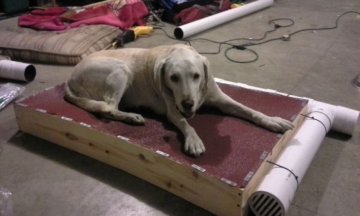 How To Make An Air Conditioned Dog Bed