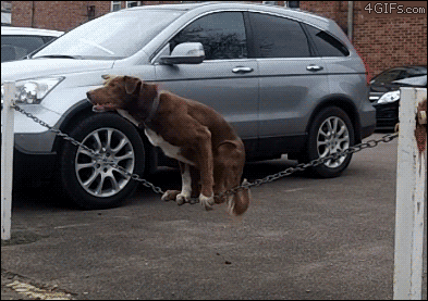 Daily GIFs Mix, part 624