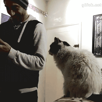 Daily GIFs Mix, part 626