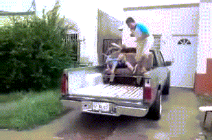 These GIFS Just Want You To Deal With It