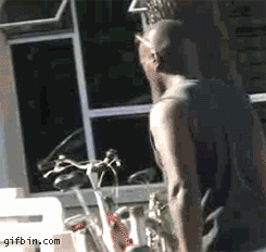 These GIFS Just Want You To Deal With It