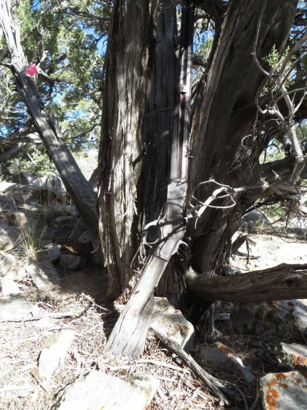 Mysterious Old Winchester Rifle Found In Nevada Park