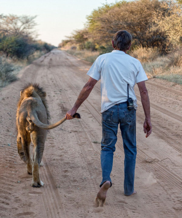 This Man And Lion Have Been Friends For 11 Years