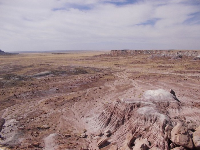 Welcome To The Petrified Forest