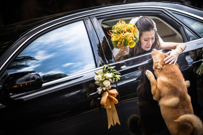 These Were The Best Award-Winning Wedding Photos Of 2014, part 2014