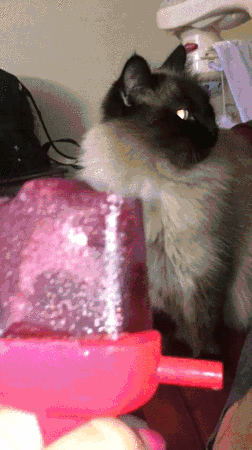 Daily GIFs Mix, part 630