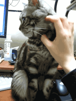 Daily GIFs Mix, part 632