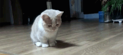 Daily GIFs Mix, part 633