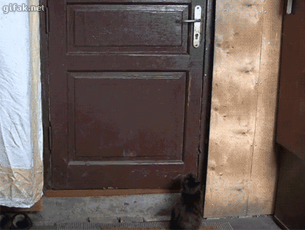 Daily GIFs Mix, part 634