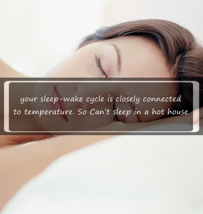 Interesting Facts You Might Not Know About Sleeping