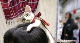 This Headband Lets You Wear An Entire Kitten On Your Head