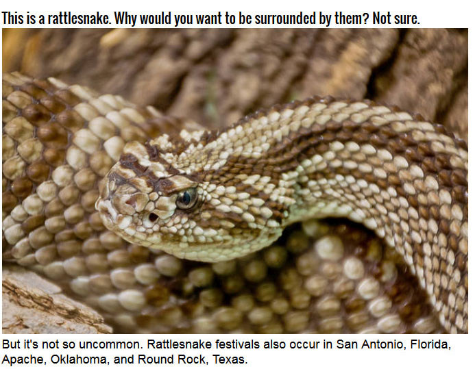 Sweetwater, Texas Loves Rattlesnakes