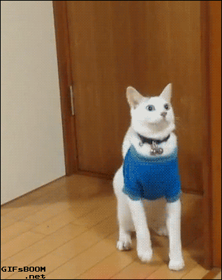 Daily GIFs Mix, part 637