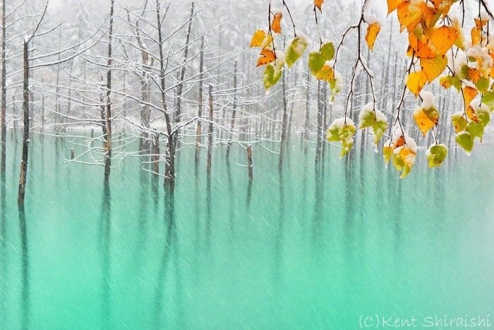This Pond Changes Colors With The Seasons