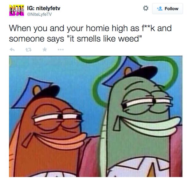 Things Only People Who Smoke Weed Will Understand