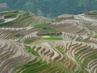 The Amazing Longsheng Rice Terraces 