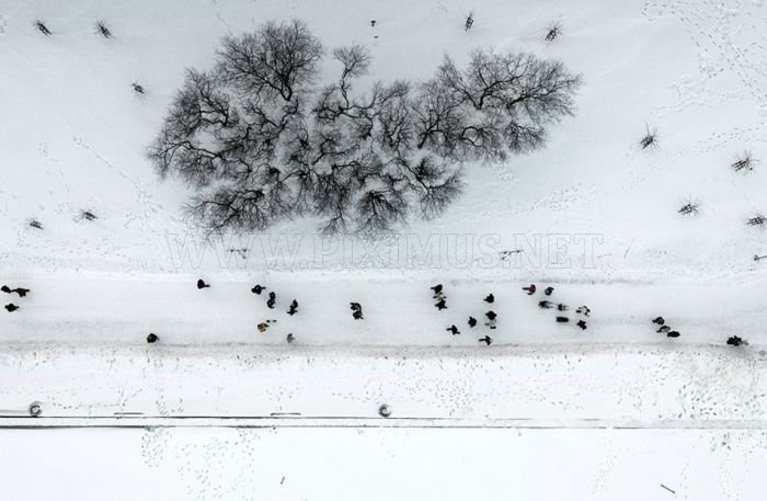 Winter from Above 