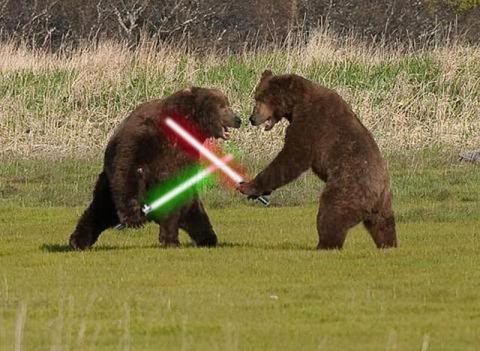 When Animals Go Star Wars On Each Other 