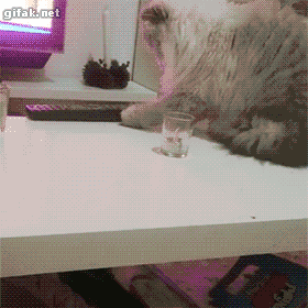 Daily GIFs Mix, part 646