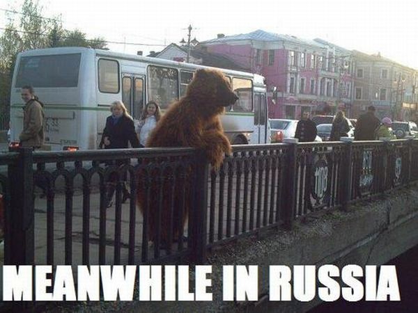 Meanwhile in Russia, part 8