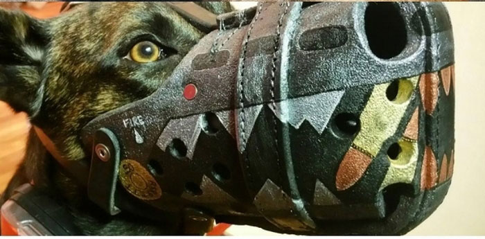 The Most Intimidating Muzzles You Can Buy For Your Dog