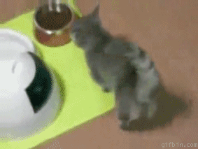 Daily GIFs Mix, part 648