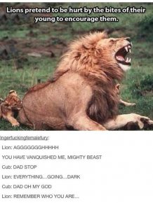 Tumblr Definitely Has The Funniest Posts About Animals