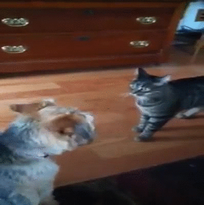 Daily GIFs Mix, part 650