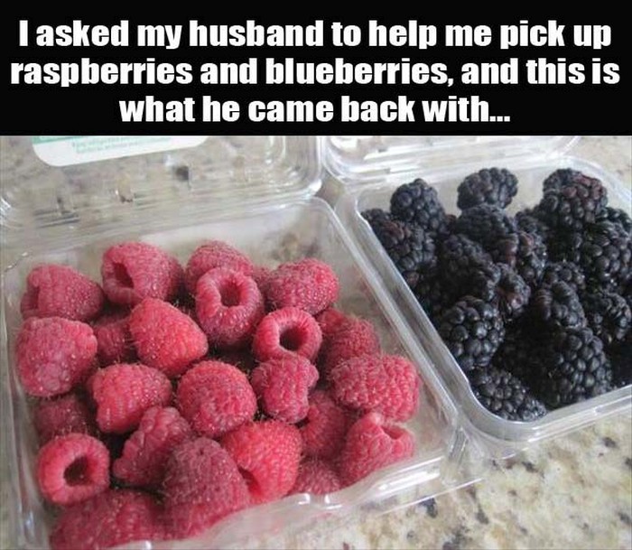 This Is Husband Logic At Its Finest