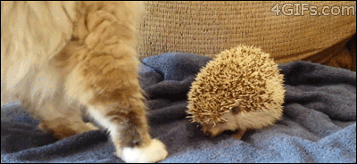 Daily GIFs Mix, part 652