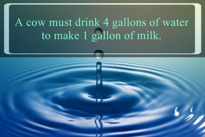 Here Are Some Important Facts About Water That You Need To Know