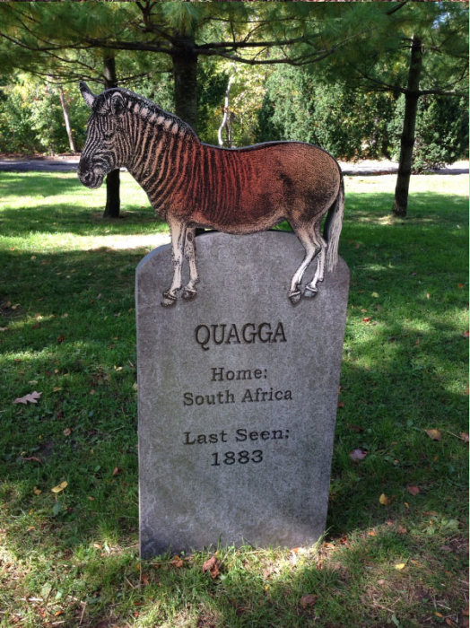 This New York Graveyard Is Dedicated To Extinct Animals